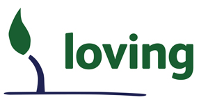 STK-vision-logo strapline-lovi